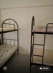Blk 316 Tampines Street 33 (Tampines), HDB 4 Rooms #518151611